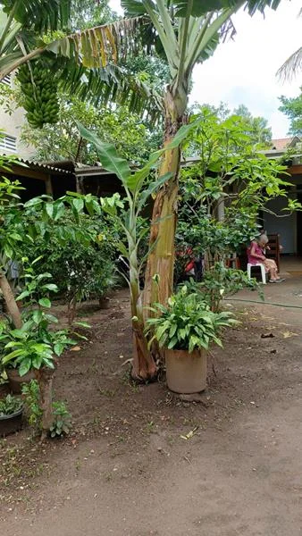 Foto 7 do Residencial Luz dos Anjos